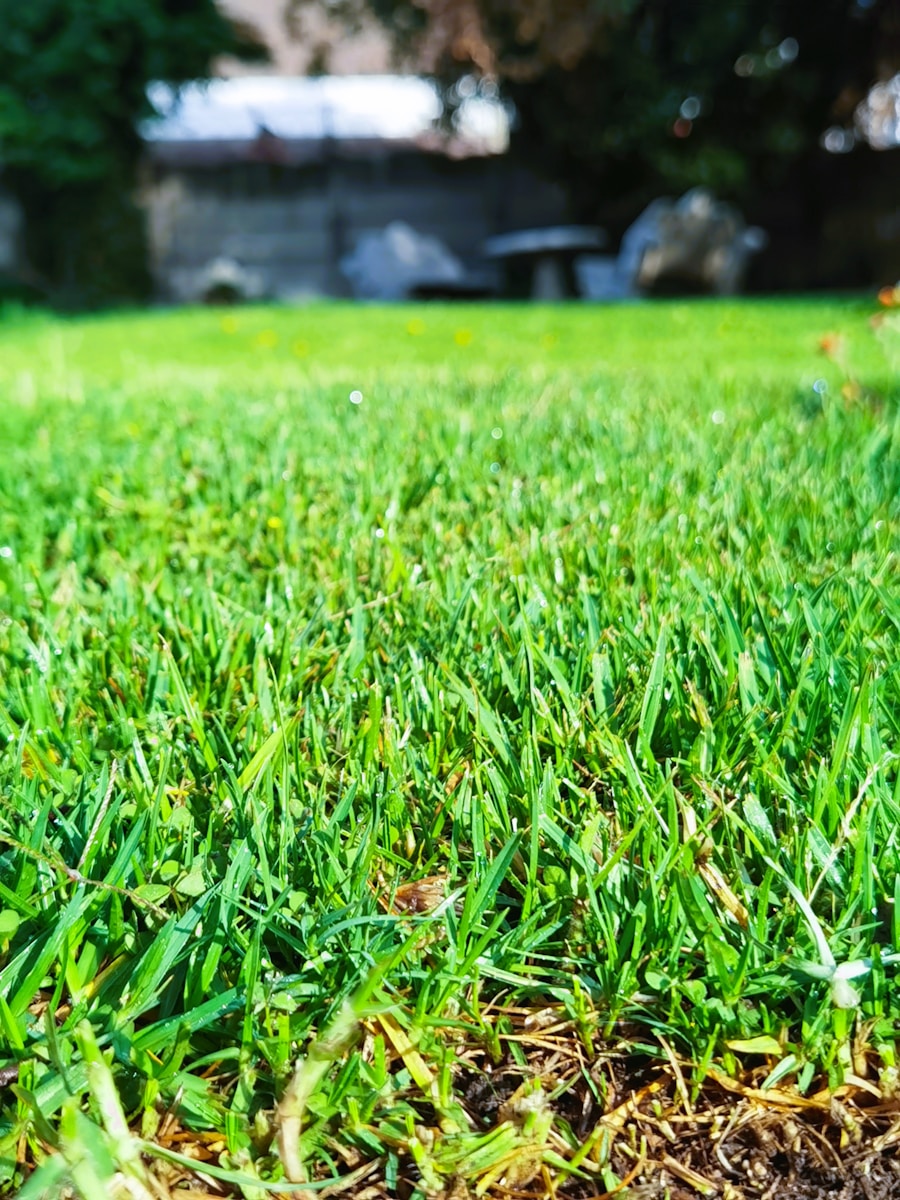 a fire hydrant sitting in the middle of a lush green field