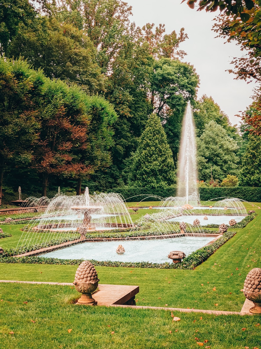 a large garden with a fountain and lots of water