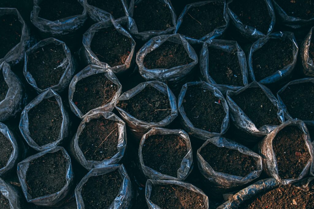 Jakie rośliny doniczkowe najlepiej pasują do stylu boho?