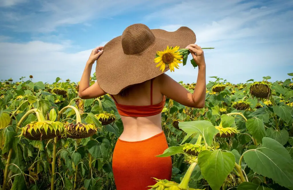 Styl boho w przestrzeni biurowej – jak wprowadzić kreatywność?