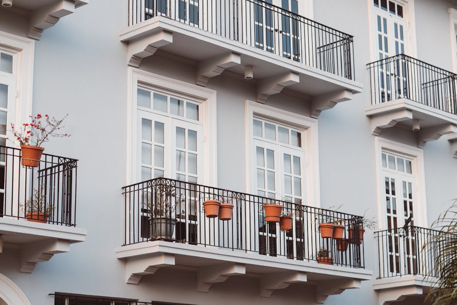 Jakie rośliny doniczkowe wybrać do mieszkania dla singla?