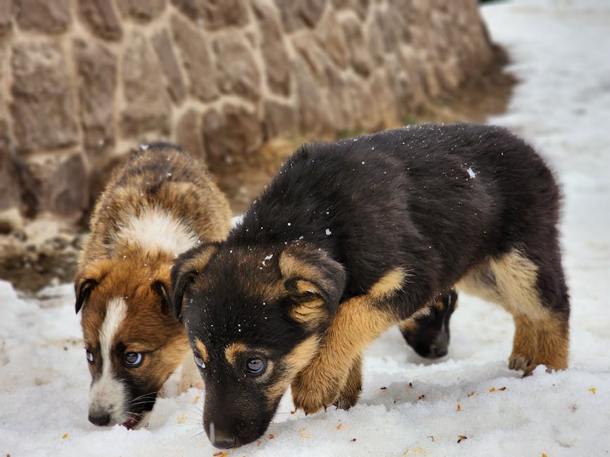 Jakie są kluczowe aspekty planowania przestrzeni w domach?
